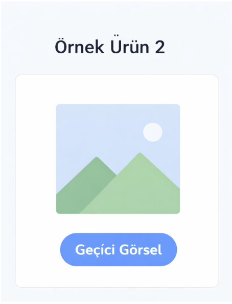 Örnek Ürün 2